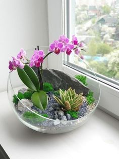 a glass bowl filled with plants and rocks