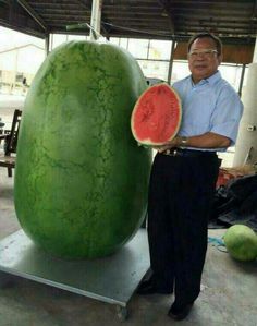 a man standing next to a giant watermelon