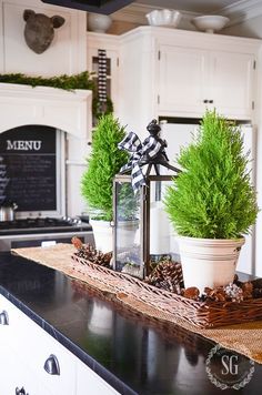 a kitchen counter topped with potted plants and pine cones