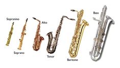 the different types of saxophones are shown