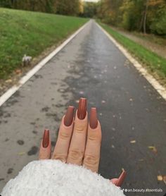 Solid Acrylic Nails Colors Fall, Simple Fall Nails Autumn Matte, Coffin Shape Fall Nails, Brown Nails Autumn, Autumn Nails Acrylic Short Square, Matte Autumn Nails, Autumn Nails Ideas Simple, Fall Acrylic Nails Autumn Coffin, Neutral Brown Nails