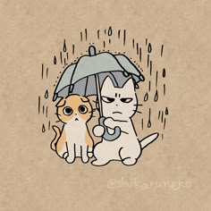 two cats sitting under an umbrella in the rain, one cat is holding it's paw