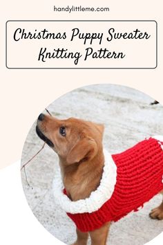 a brown dog wearing a red and white sweater with the words christmas puppy sweater knitting pattern