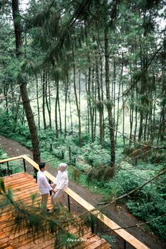 two people standing on a wooden deck in the middle of a forest with pine trees