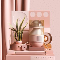 a potted plant sitting on top of a pink shelf next to a white plate