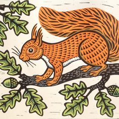 a drawing of a squirrel on a tree branch with acorns in the background