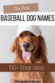 baseball dog names Parenting Advice Teenagers, Sports Mom Quotes, Adult Children Quotes, Parenting Hacks Teenagers, Parenting Teenagers Quotes, Teen Memes, Parenting Teens Humor, Parenting Adult Children, Parenting Daughters