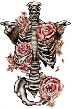 a drawing of a skeleton with roses on it's chest and the ribcage