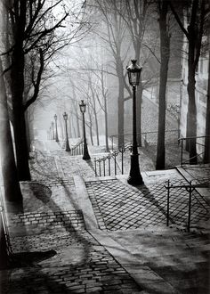 black and white photograph of an empty street in the foggy winter day, with light shining through trees