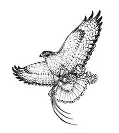 a drawing of an eagle flying with its wings spread out and it's talon extended