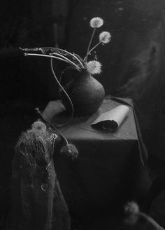 a black and white photo of a vase with dandelions sitting on a table