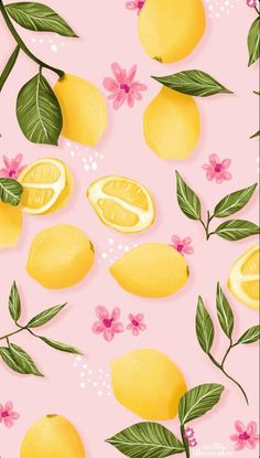 lemons with leaves and flowers on a pink background