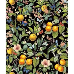 a black background with oranges, flowers and butterflies on it's sides is shown