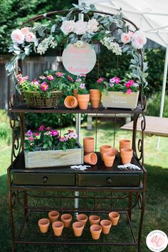 potted plants and flowers are arranged on a shelf