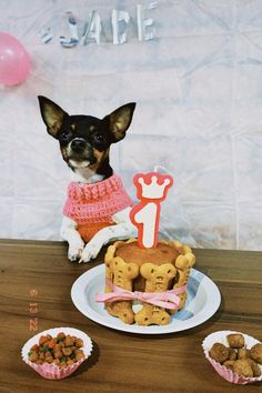 a small dog sitting in front of a cake and cupcakes on a table