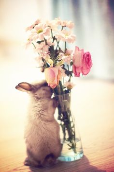 a small rabbit sitting next to a vase filled with flowers