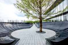 a skateboard park with a tree in the middle and water on the ground next to it