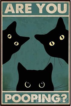 three black cats with yellow eyes are looking at each other and the words are you pooping?