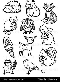 the woodland animals clipart set