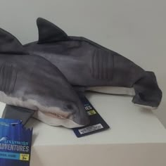 two stuffed sharks are on display in a museum