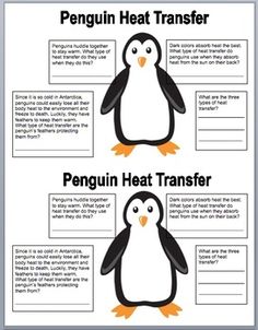 penguin heat transfer worksheet with penguins in the background and instructions to use them