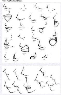 the different stages of drawing faces and noses in various poses, from nose to mouth