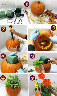 the instructions to make a pumpkin planter