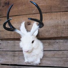 a white deer head mounted on the side of a wooden wall