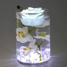 a glass vase filled with water and white flowers on top of ice flakes