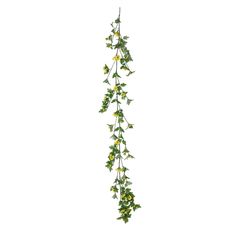 ivy and yellow flowers hanging from a wire