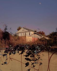 a house is seen behind a fence with vines growing on it and a half moon in the sky