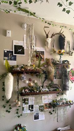 the wall is covered with plants, pictures and deer heads hanging from it's sides