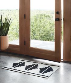 a potted plant sitting on top of a rug next to a door with glass panels