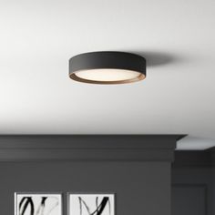 an image of a modern ceiling light in the living room or dining room with two pictures on the wall