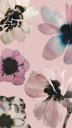 an assortment of flowers painted in different shades of pink and black on a light pink background