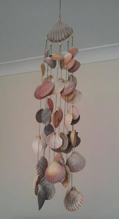 a wind chime made out of seashells hanging from the ceiling