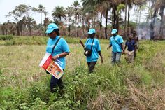 four people in blue shirts are walking through tall grass with trees and bushes behind them