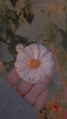 a person holding a flower in their hand with water droplets on it's petals