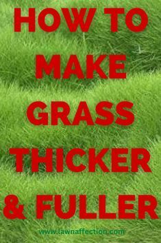 green grass with the words how to make grass thicker and filler