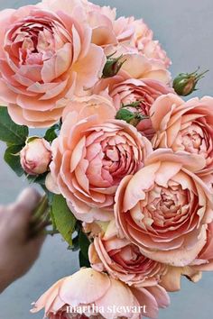 a person holding a bouquet of pink flowers