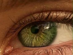 Lily Evans, Wallpaper Pastel, An Eye, Aesthetic Photo, Beautiful Eyes, Green Eyes