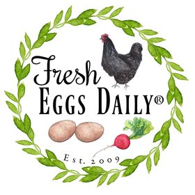 fresheggsdaily