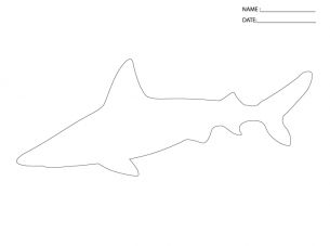 Activity Templates Shark Shark Template, Shark Teeth Crafts, Shark Quilt, Summer Lesson Plans, Shark Room, Shark Sculpture, Under The Sea Crafts, Shark Themed Party, Ocean Projects