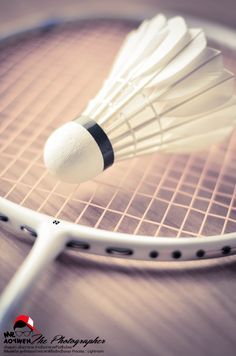 Badminton Aesthetic, Badminton Pictures, Badminton Photos, Playing Badminton, Badminton Games, Pv Sindhu, Player Quotes, David Laid, Badminton Sport