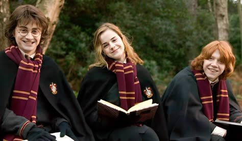 Foto Harry Potter, Harry Ron Hermione, Harry Potter Ron And Hermione, Hp Harry Potter, Buku Harry Potter, The Golden Trio, Harry Potter Icons, Harry Potter Ron, Images Harry Potter