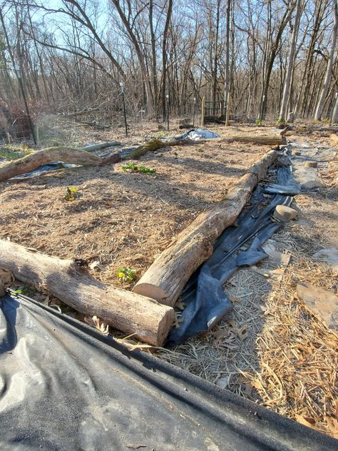 Log Raised Garden Beds, Log Garden Bed, Perma Culture, Wood Garden Beds, Garden Prep, Raised Garden Beds Diy Vegetables, Garden Prepping, Diy Garden Bed, Diy Garden Trellis