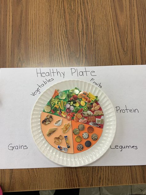 I’m so excited to share the projects of my students the eat well plate second grade science teacher Healthy Plate Craft For Kids, Healthy Food Chart For Kids Project, Eat Well Plate, Healthy Food Plate, Nutrition Plate, Healthy Food Activities, Diet Plate, Preschool Cooking, Healthy And Unhealthy Food