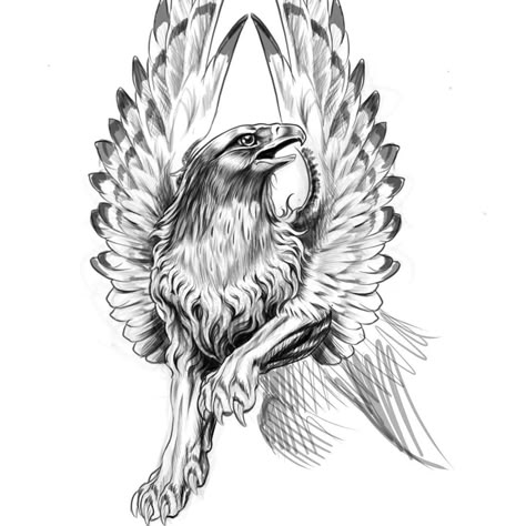 Griffon Tattoo Design, Griffin Tattoo Men, Griffin Tattoo Feminine, Griffin Tattoo Design, Griffin Artwork, Griffon Tattoo, Gryphon Tattoo, Griffin Drawing, Griffin Mythical