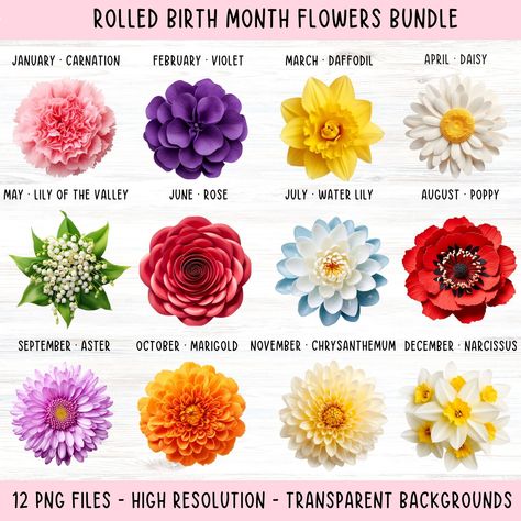 Cute Flower Clipart, Birth Month Flower Bouquet, Flower Bouquet Png, Month Gemstones, Diy Fleur, Different Types Of Flowers, Floral Png, Flower Meanings, Color Meanings