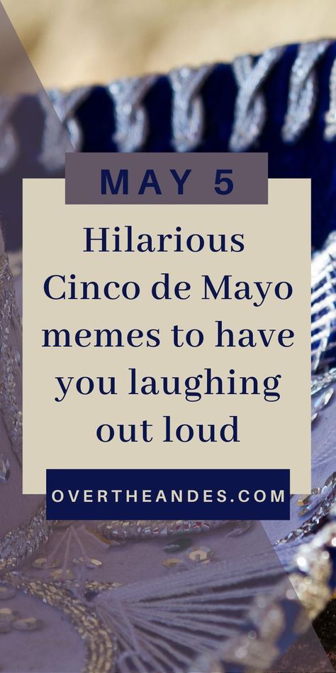 Funny Cinco de mayo memes to celebrate the occasion. Read, laugh, share....cinco de mayo humour. #CincoDeMayo #CincoDeMayoMemes Cinco De Drinko Quotes, Cinco De Mayo Funny Quotes Hilarious, Language Jokes, Mexican American Culture, Spanish Learning Activities, Present Tense Verbs, Spanish Movies, Learn Spanish Online, Spanish Books